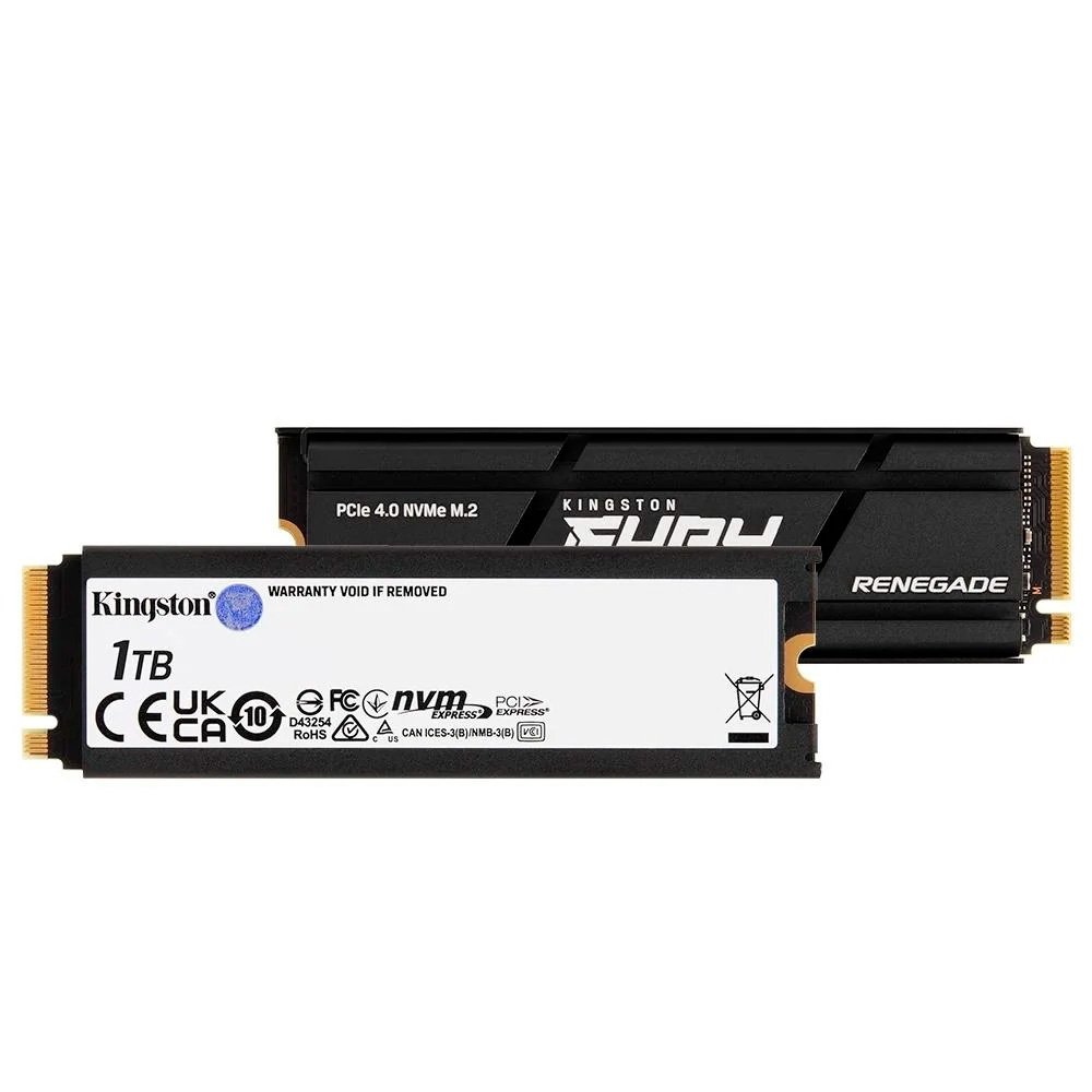Kit Storage NVMe ASUSTOR e SSD Kingston Fury 1TB