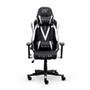 Cadeira Gamer XT Racer Viking Series, Até 120Kg, Com Almofadas, Reclinável, Descanso de Braço 3D, Preto e Branco - XTR-021