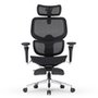 Cadeira Office DT3 Ergonomie FT, Até 160kg, Reclinável, Braço 5D, Cilindro de Gás Claase 4, Preto - 14435-7