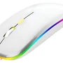 Mouse Sem Fio Recarregável RGB Ergonômico Usb Gamer Branco