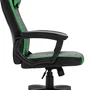 Cadeira Gamer Viper Snake Gaming Reclinável 0440 Peso Suportado Até 120 Kg, Verde