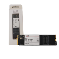 SSD 2TB M.2 Nvme PCie 4.0 7000mb/s Leit - 5000mb/s Grav Gta Tech