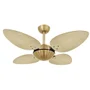 Ventilador De Teto Volare Office Petalo Palmae Natura 127v - 110v
